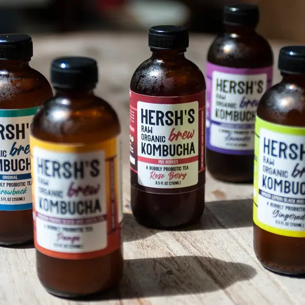Kombucha (Hersh's)