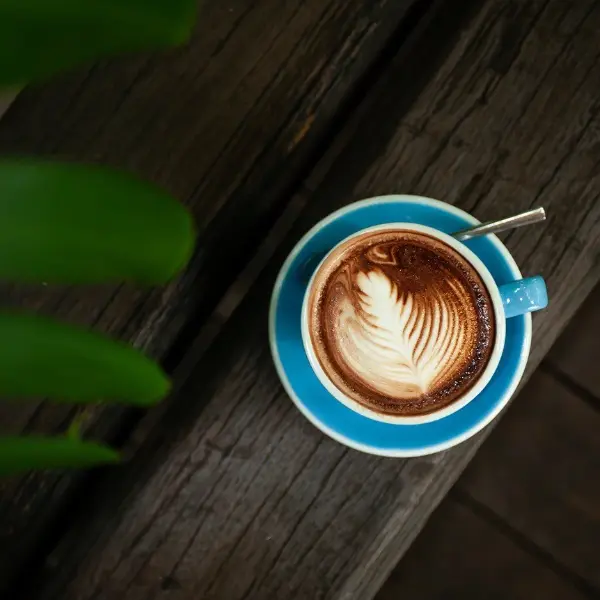 Mocha (Siamaya Chocolate)