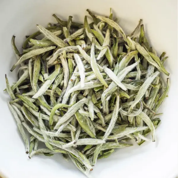 WHITE TEA SILVER TIPS / BLOSSOM (organic)